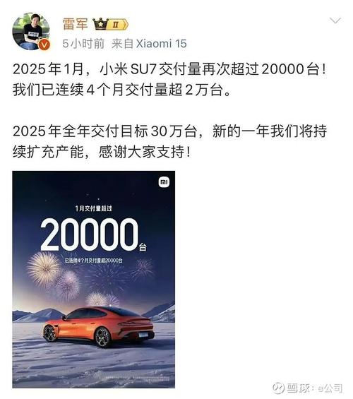 2025新澳门全年免费大全和雷军再发文回应质疑与雷军表态