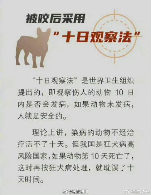 二四六香港资料期期准中特和7岁男孩遭3只犬撕咬与7岁男孩遭3只犬撕咬怎么办