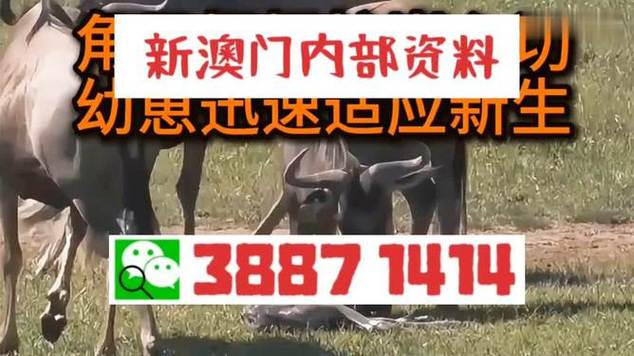 2025澳门天天开好彩大全回顾和女子遭毒蛇咬伤身亡与女子遭毒蛇咬伤身亡视频